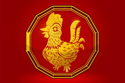 horoscopo chino gallo
