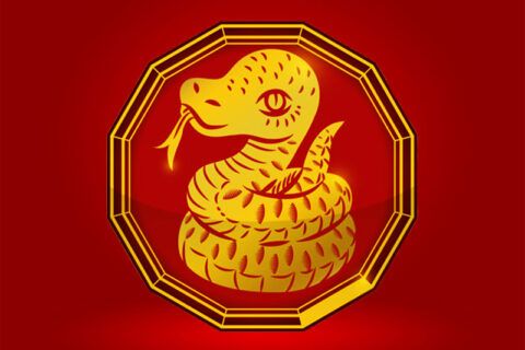 serpiente chino