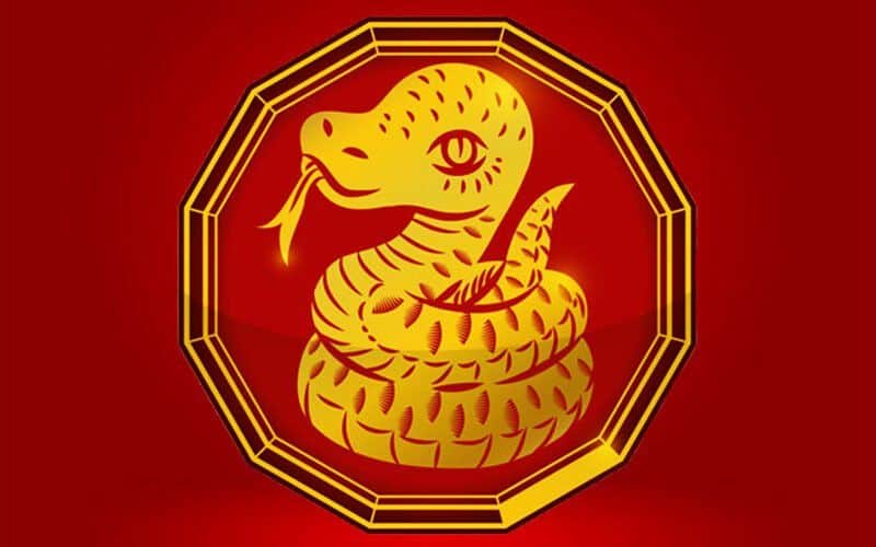serpiente chino