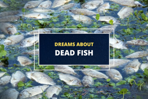 ¿Qué significa soñar con un pez muerto?