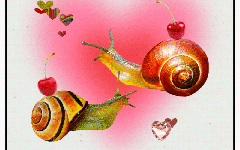 The Lovers Tarot Card