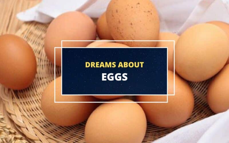 La explicación de soñar con huevos.
