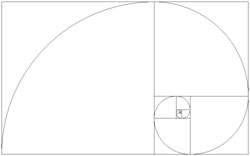 Espiral de Fibonacci Espiral de Fibonacci