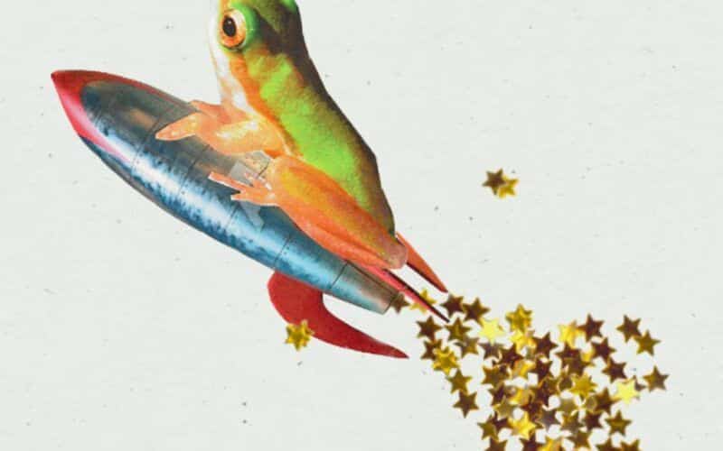 Collage of a frog on a rocket with gold stars