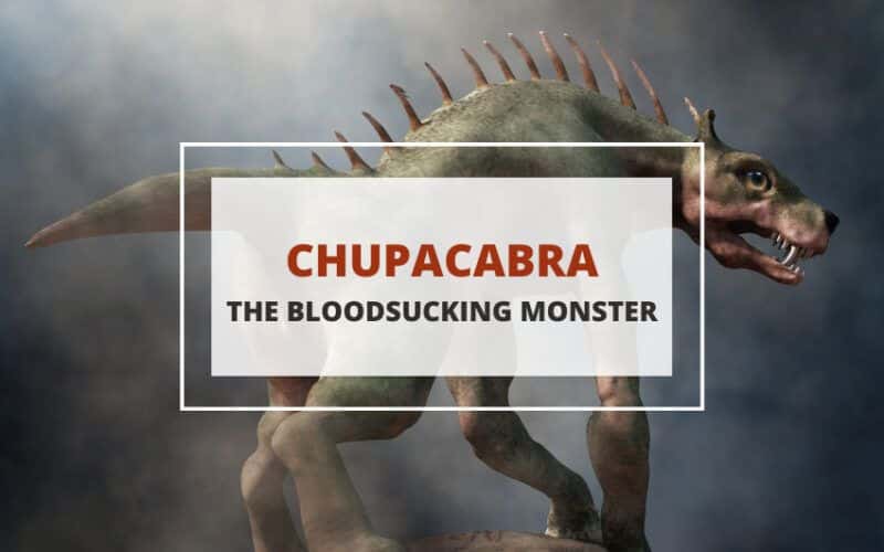 El monstruoso mito del Chupacabra Latinoamérica