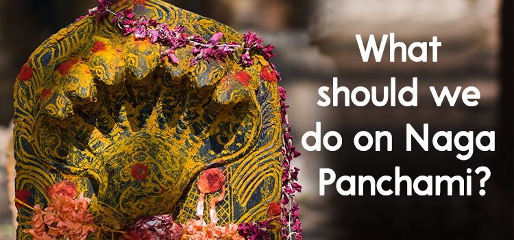 ¿Qué debemos hacer en nag chaturthi?