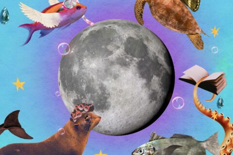 Collage for the Full Moon in Libra