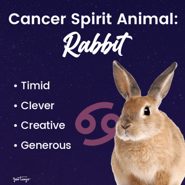 Cáncer espíritu animal conejo
