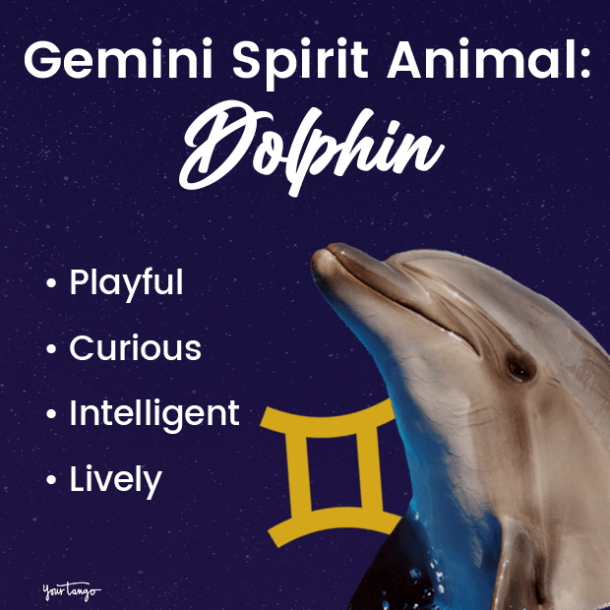 Delfín animal espíritu Géminis