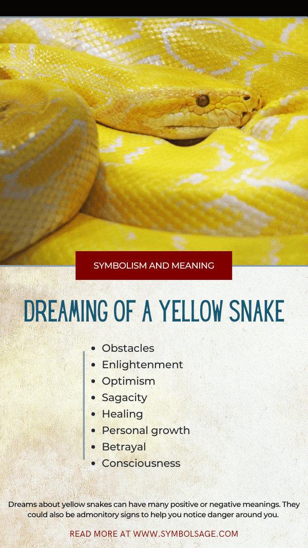 ¿Qué significa soñar con una serpiente amarilla?