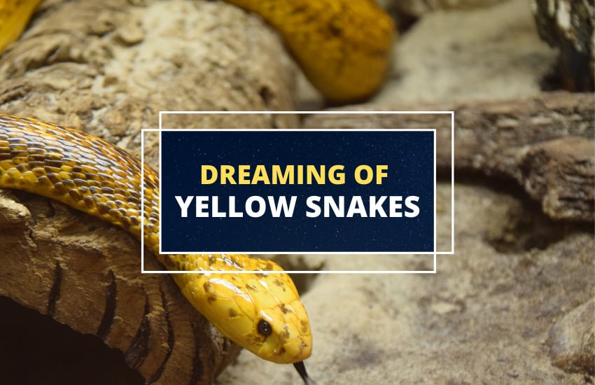 soñar con una serpiente amarilla