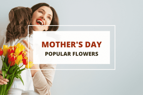 mothers day flowers meaning
