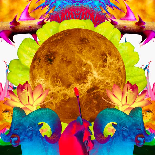 Collage de Venus en Aries