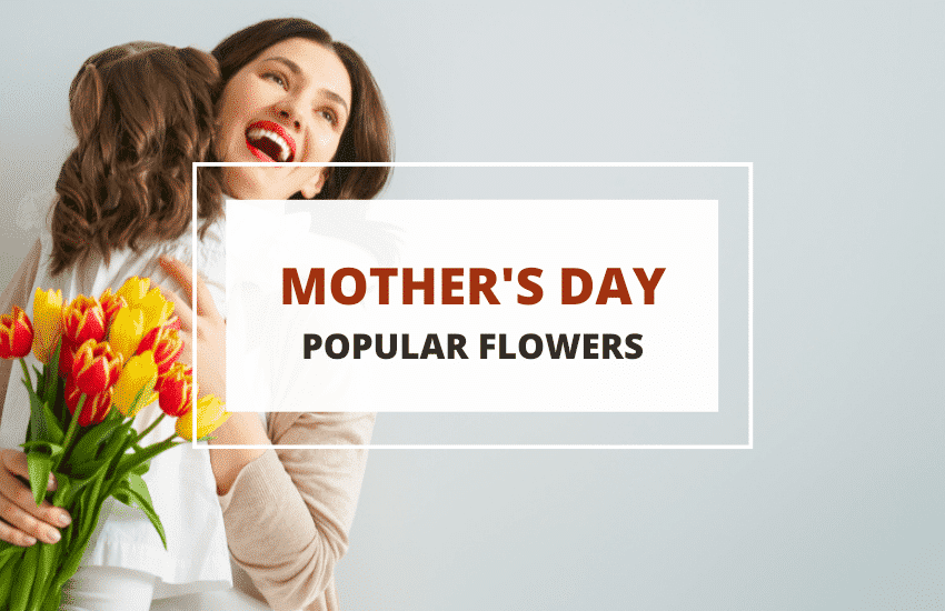 flores para el dia de la madre