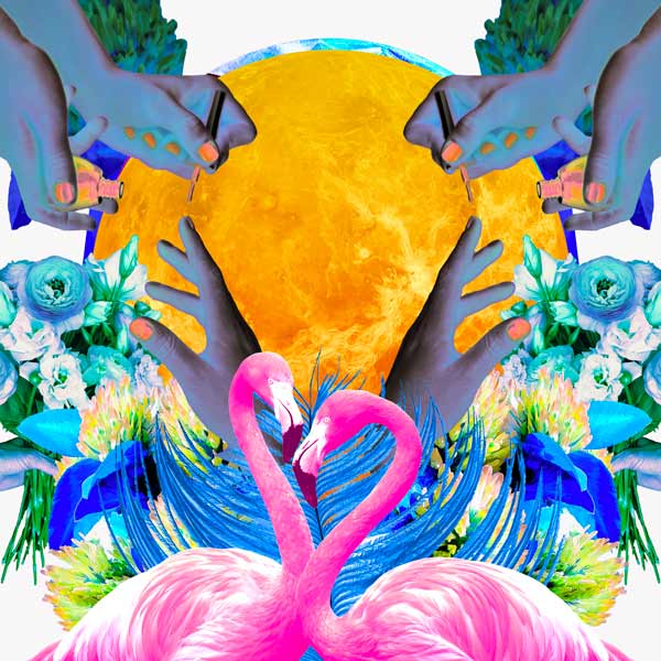 Collage de Venus en Géminis