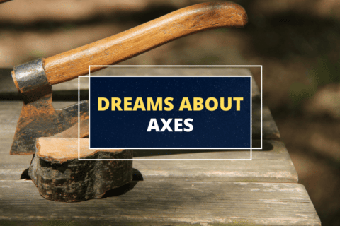 ax dream meaning