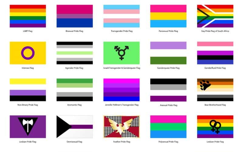 what-is-pangender-image-of-lgbt-flags-min