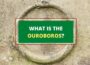 Ouroboros symbol meaning
