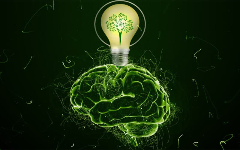 Ways to Become More Green Minded