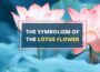 Symbolism of lotus