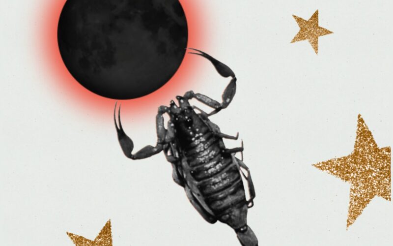 Collage of a solar eclipse with gold stars and a scorpion