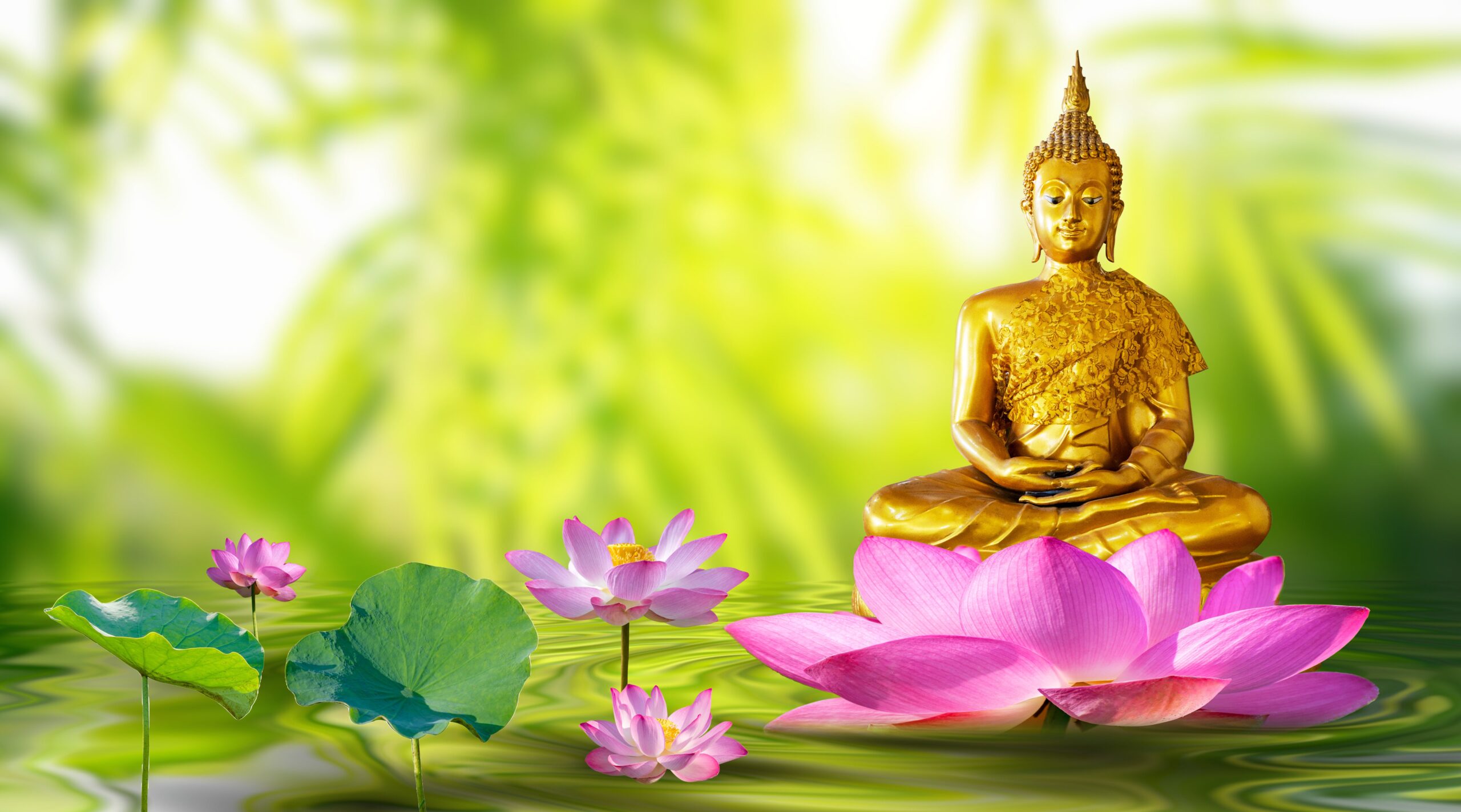 Estatua de Buda flotando en un estanque con flores de loto y fondo de hojas verdes