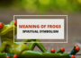 Symbolism of Frogs