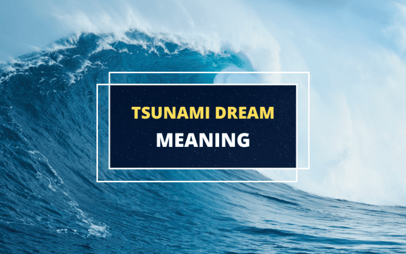 Tsunami Dream
