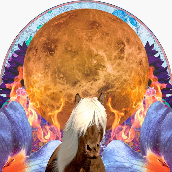 Collage de Venus en la constelación de Sagitario