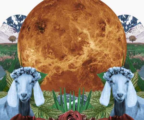 collage for Venus in Capricorn horoscopes