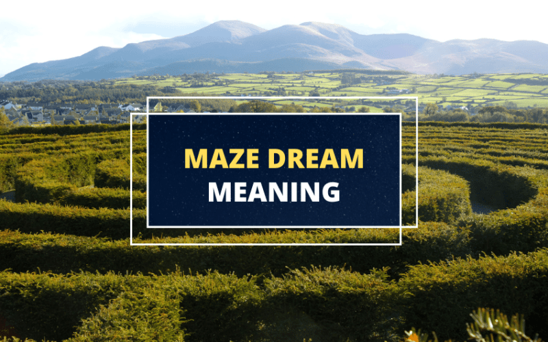 maze dream meaning