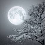 luna invierno