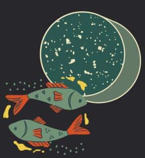 luna nueva en piscis