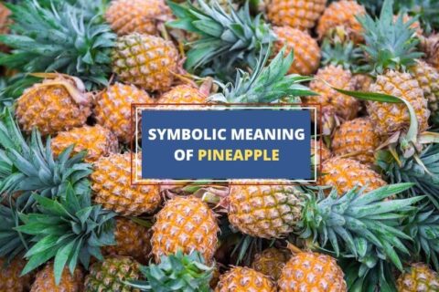 Symbolic meaning of pineapple