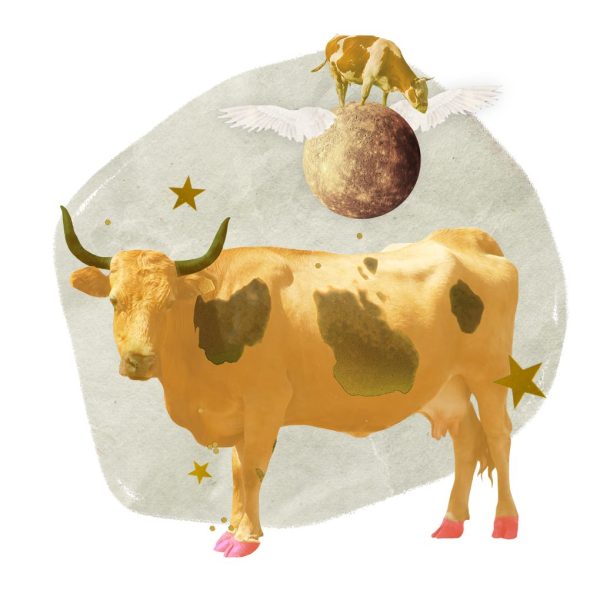 Una vaca Tauro amarilla con estrellas y Mercurio con alas.