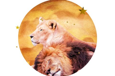 Collage of two lions, Venus, and stars
