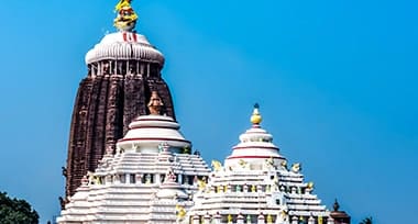 Explora 14 magníficos templos en Puri