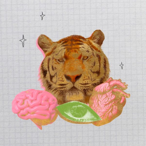 Un collage de cinco cambios importantes que se producirán en 2024