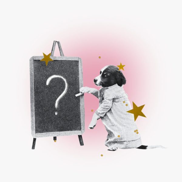 Un collage de un perro con una camisa con botones escribiendo signos de interrogación en una pizarra con estrellas alrededor.