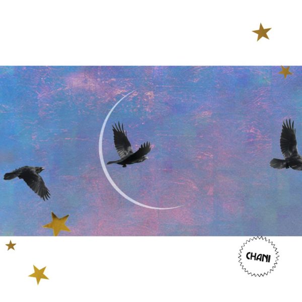 5 de febrero de 2024.luna nueva en acuario