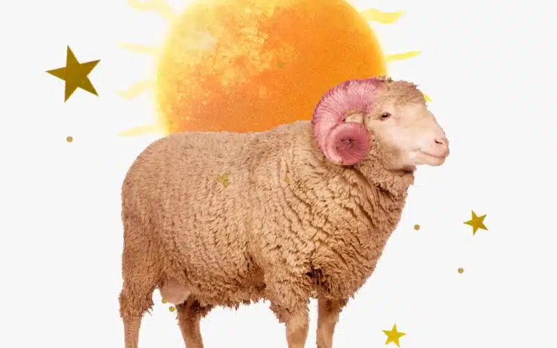 Collage for Sun in Aries horoscopes.