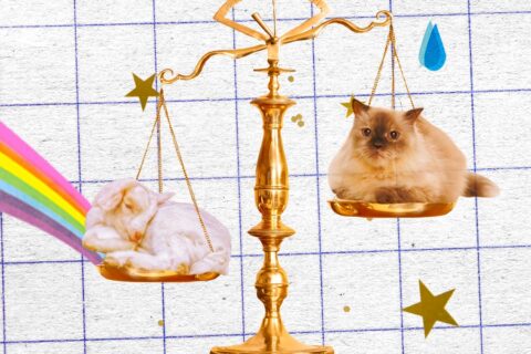 No, astrologers haven’t gotten it wrong — the media has. A collage for the zodiac including a scale, goat, kitten, gold stars, rainbow, and water droplets.