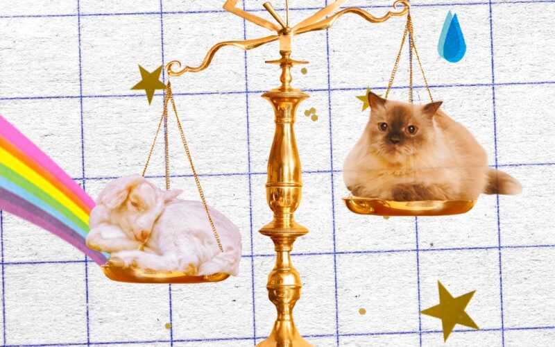No, astrologers haven’t gotten it wrong — the media has. A collage for the zodiac including a scale, goat, kitten, gold stars, rainbow, and water droplets.