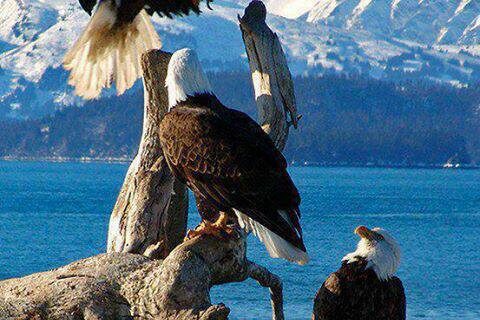 Estados Unidos estará en RAHU hasta 2033: una versión revisada de nuestro artículo de 2017