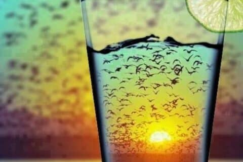 Mensajes navideños y actualizaciones de primavera