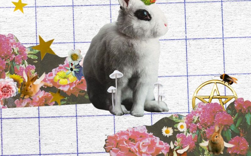 How to make Beltane magic — rabbits with wings and flower crowns among spring florals and gold stars.