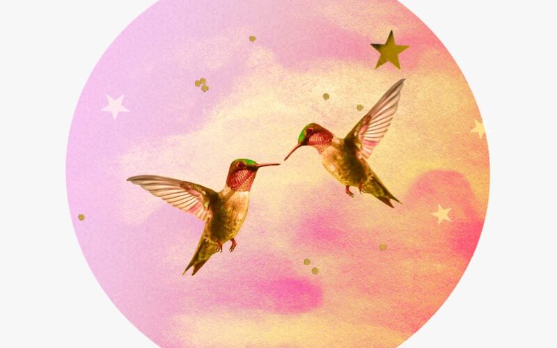 Venus in Gemini horoscopes, 2024 – Collage of two birds, gold stars, and Venus.
