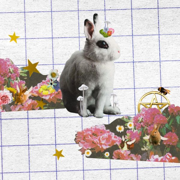 Cómo hacer que Beltane sea mágico: un conejo con alas y corola entre flores primaverales y estrellas doradas.