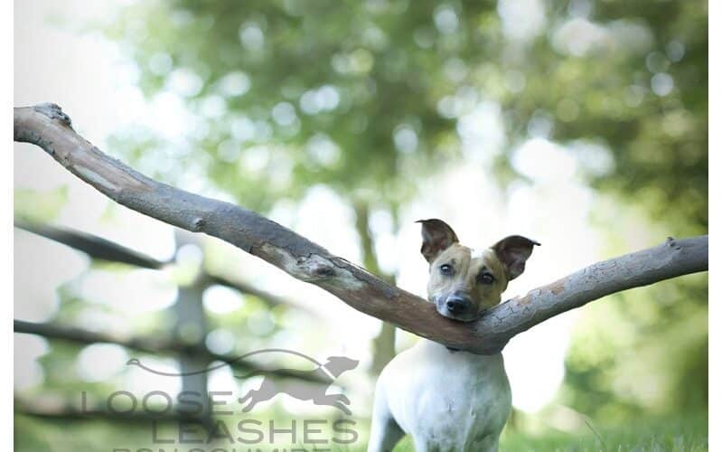 Marte en Aries - 1 de junio - 12 de julio - Explosión de energía y acción