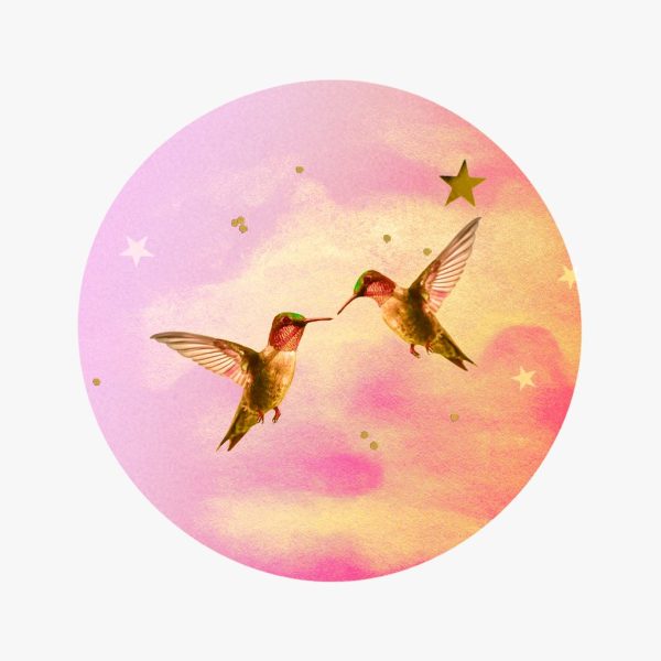 Venus en Géminis 2024: collage de dos pájaros, Venus y Venus.